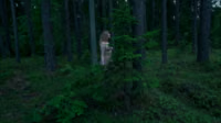 Forest_Dark.mp4