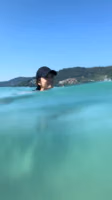 fancyvikki-2019-12-10-102031713-Time to swim.mp4