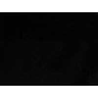 priscillayasury - Images
