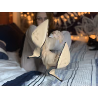 3840x2880_ffb70c643c19d9a463b67165bc5fe7a41230085d8d3e1ddab90.jpg