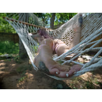 missivyjean_00250.jpg