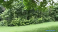 848806546126.mp4