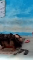 Viral Indian