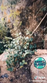 2019-09-07 - Save the Planet.mp4