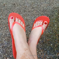 676x676_2387efe27326c57ebc68924cf24033a6.jpg