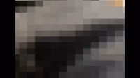 QeNKEGx6_720p.mp4