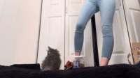 ASMR trying on heels 👠🐱 with my kitten.mkv