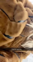 Snapchat-1289925585.mp4