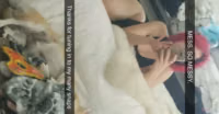 Snapchat-491729948.mp4
