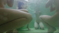 underwater pool japanese candid voyeur by halil123