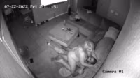 video_2024-02-18_22-18-34.mp4