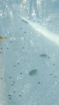[2024-06-19] 696e0504-4f78-461a-9d7b-41c8cf3b346e.mov