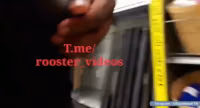 FlashingDick