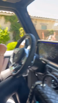 DullCalmIggypops.mp4
