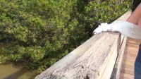 Topless-Hiking-(1080p-with-60fps)-cY8GsLd1.mp4