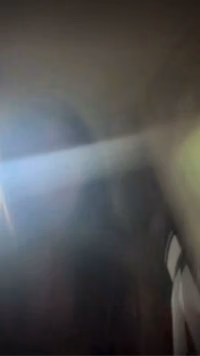 fuuk.mov