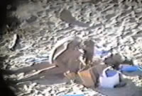 voy-beach02k.mp4