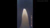 8498017.mp4