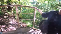 Journey to the mountains ended with public sex on the banks of the river _ JULIALEXXX.mp4