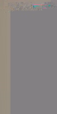TK_bacterialapis_2026.02.10_06-20-07.mp4