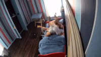 dy7k69e2_720p.mp4