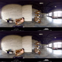 SLR_StasyQVR_Burning by the Bookshelf_original_5617_TB_360 nolimit x265(10bit) fast RF22.mp4