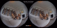 SLR_StasyQVR_A Dangerous Courtney_2900p_18454_VRCA220 nolimit x265(10bit) fast RF22.mp4