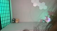 busy b asmr