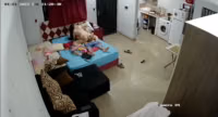 IP cam (mix)