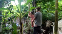 TravellingLovers Pornhub Archive