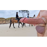public erection flasher cfnm exhibitionist beach horseback 06.jpg