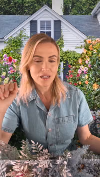 thekatykatvip (5).mp4