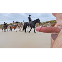 public erection flasher cfnm exhibitionist beach horseback 02.jpg